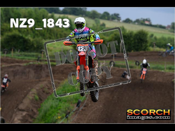 IntersGreenOrange-096