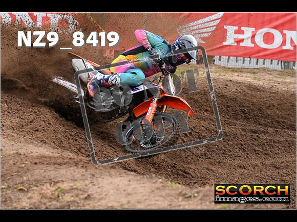 MX2-015