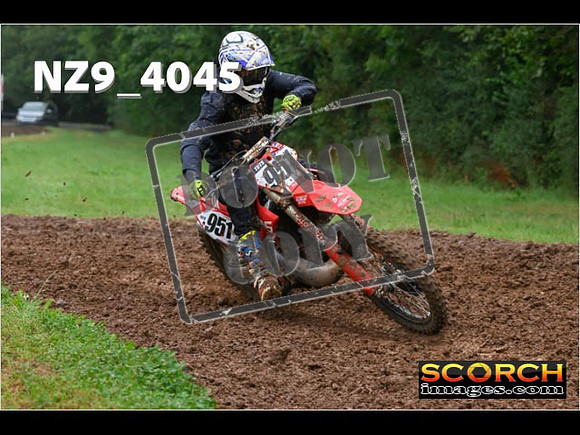 Experts-119