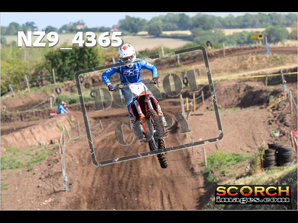 Experts-097