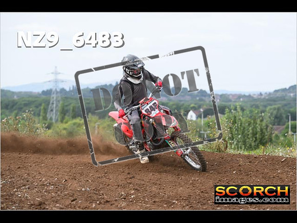Experts-196