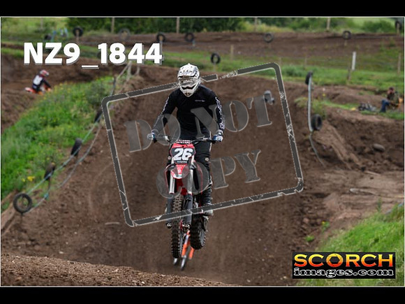 IntersGreenOrange-097