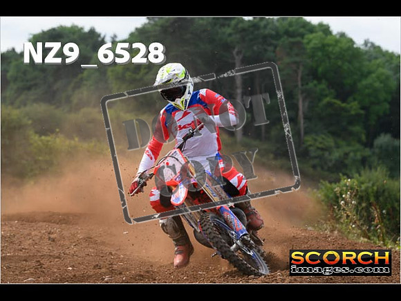 Experts-237