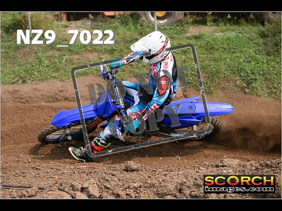 Experts-419