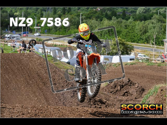 IntersGreenOrange-074