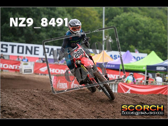 MX2-087