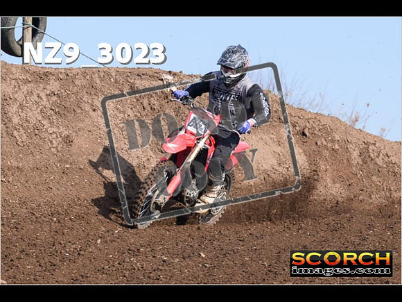 Experts-061