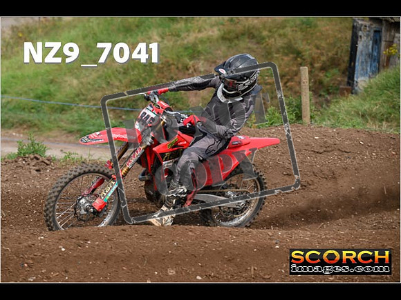 Experts-437