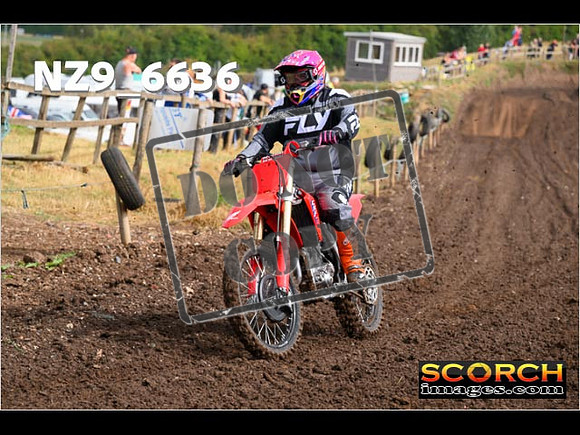 Red- Over 60-018
