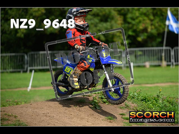 PeeWee Track-17