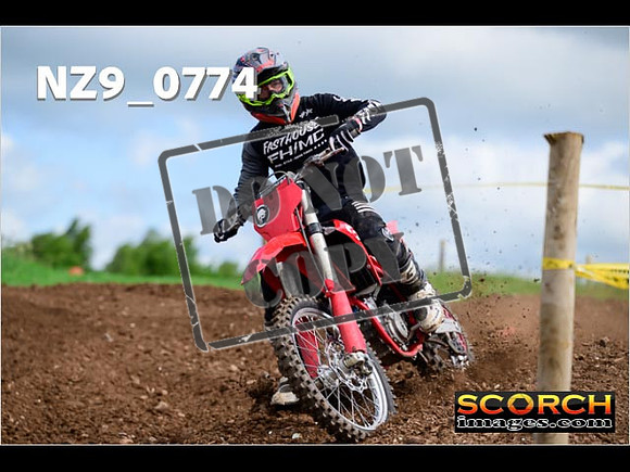 Experts-098