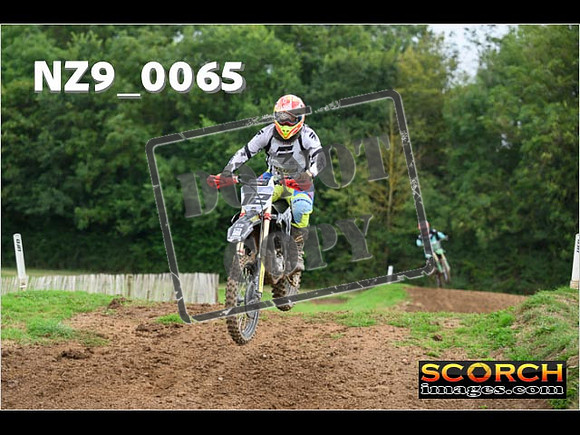 Novice-238