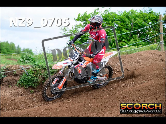 Experts-034