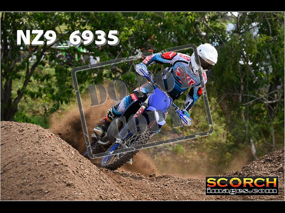 Experts-333