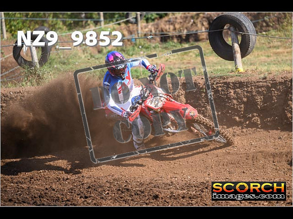 Experts-062