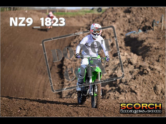 IntersGreen-096