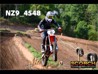 InterGreenOrange-012