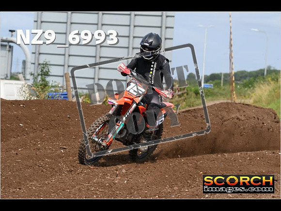 Experts-390