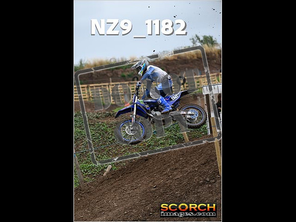 Experts-120