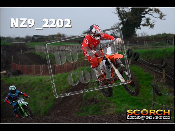 Experts-205