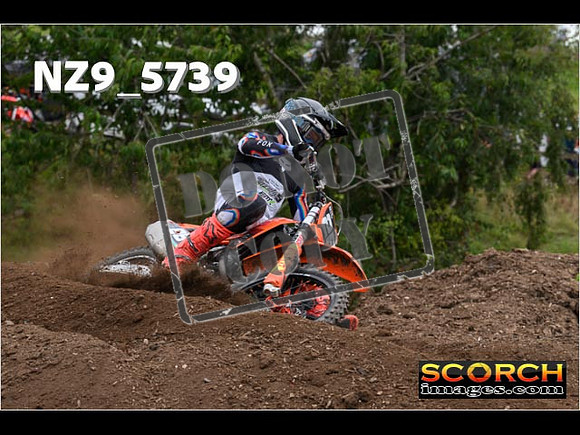 Experts-209