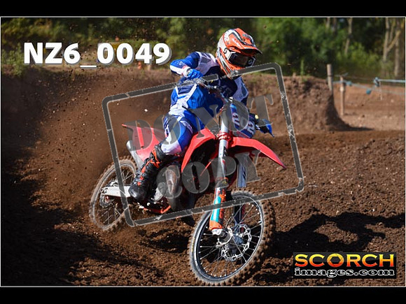 Experts-045