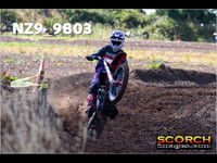 Experts-018