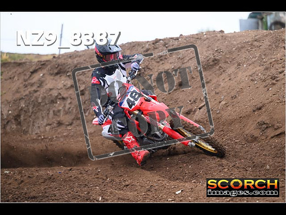 Experts-079