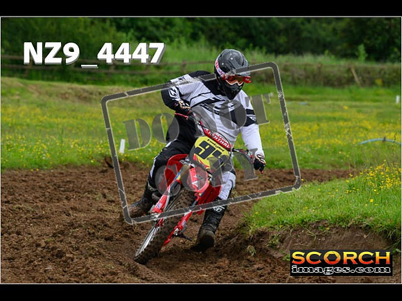 Experts-165