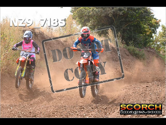 Experts-091