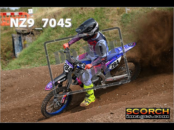 Experts-441