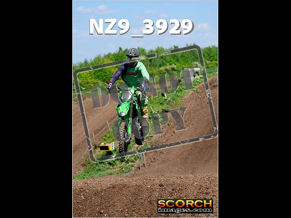 InterGreen-212