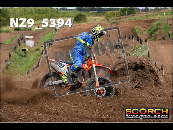 Experts-170
