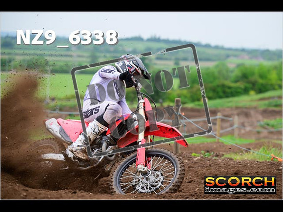 Experts-091