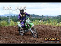 IntersGreen-012