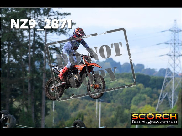 Experts-087