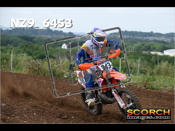 Experts-167