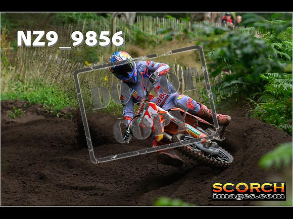 MX1-396