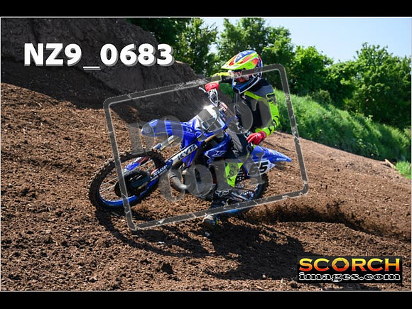 Experts-087