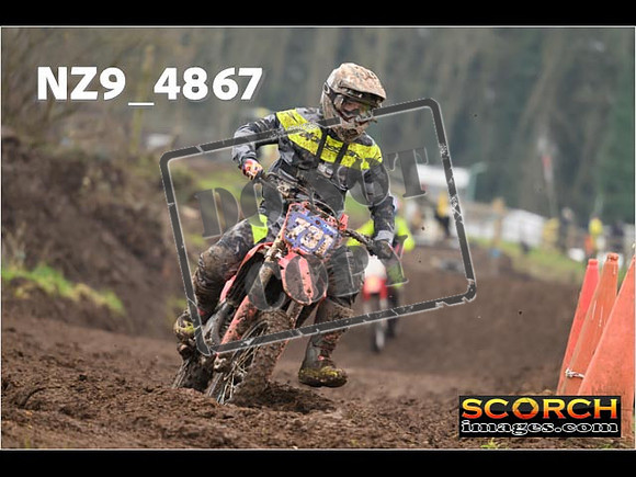 Experts-342