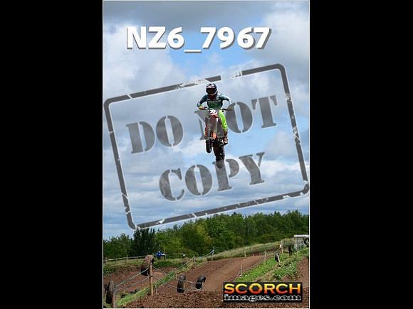 Experts-133