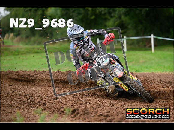 Experts-118