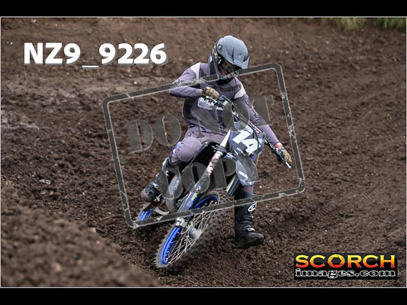 Experts-035