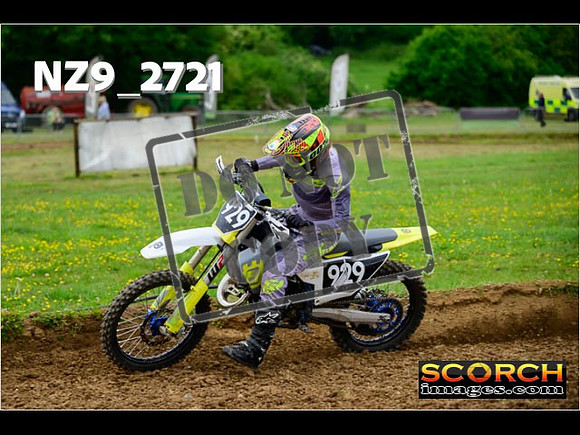 Novice-310