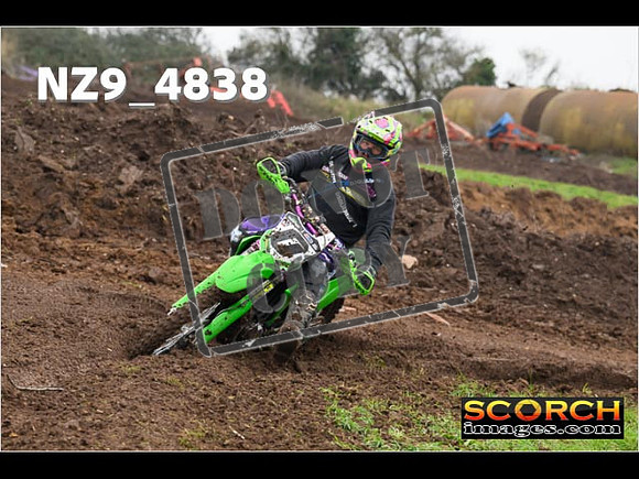 Experts-314