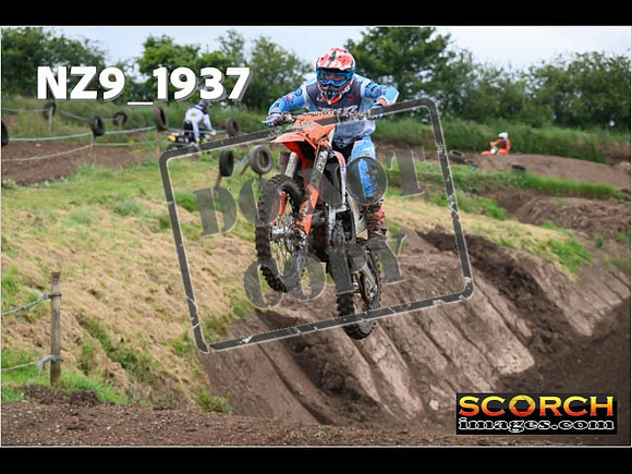 Experts-156