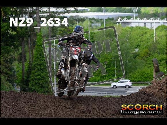 Experts-099