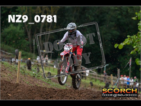 Experts-049