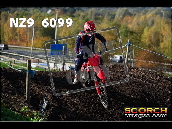 Experts-136