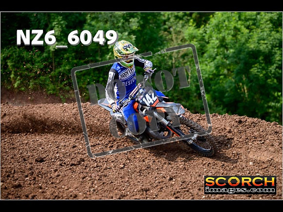 Experts-092